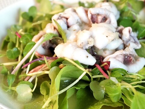 イカでちょっとおしゃれなサラダ♪